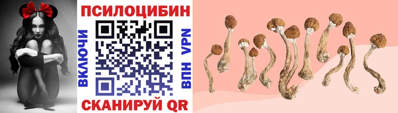 Галлюциногенные грибы мицелий  Купить где  Ворсма 